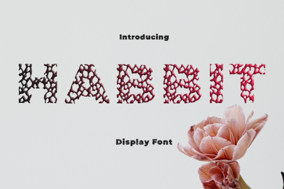 Habbit: A Font That Elevates Your Design